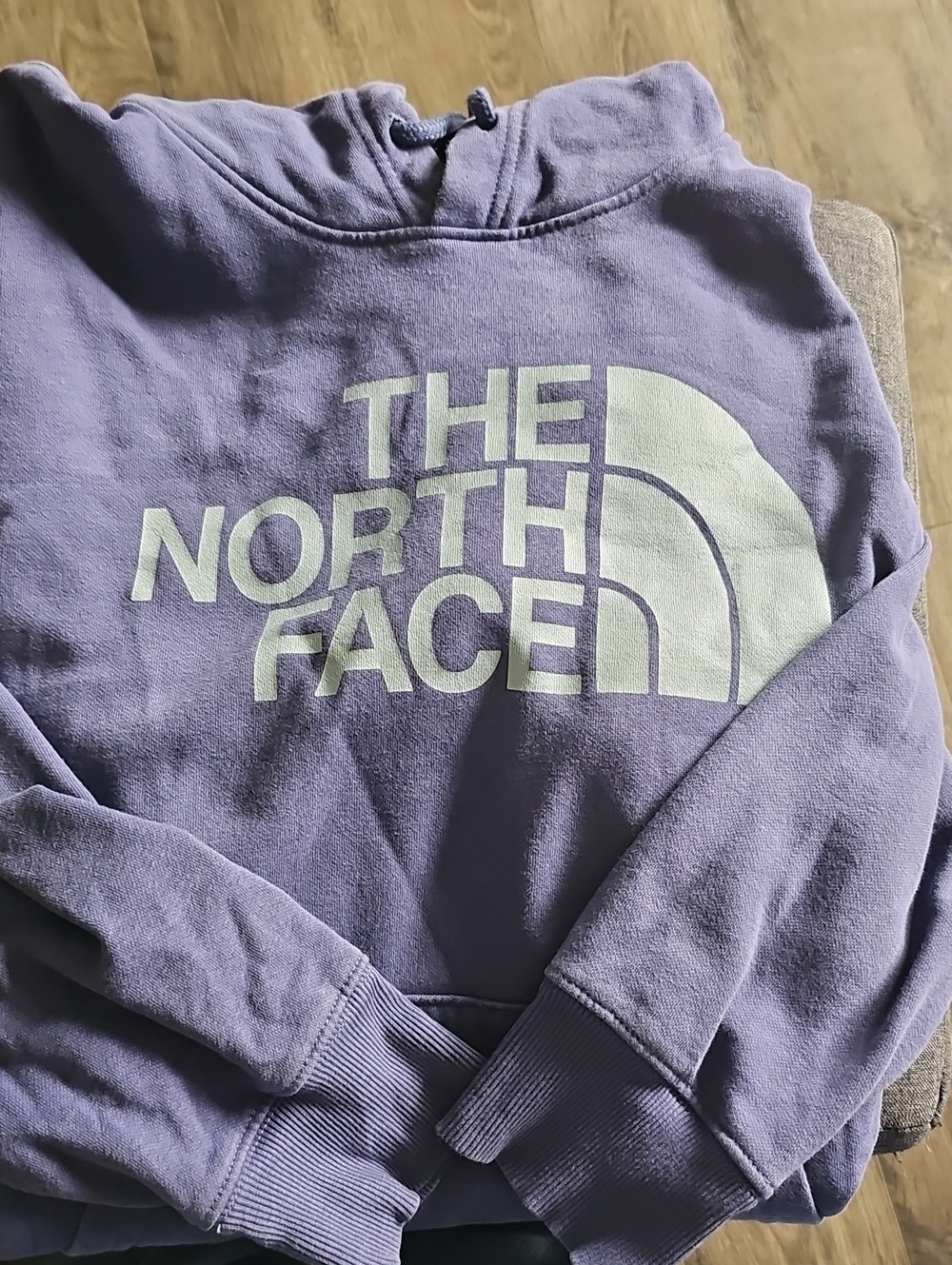 The North Face Sweatshirt  Pullover Hoodie Men Large Blue Logo